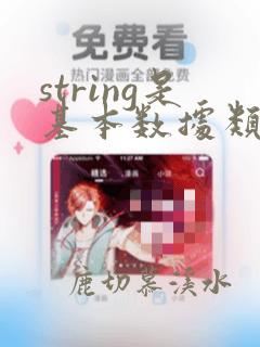 string是基本数据类型
