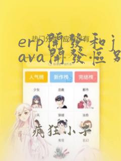 erp开发和java开发区别