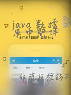 java 数据库中间件