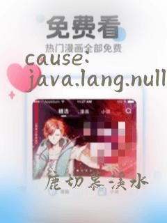 cause: java.lang.nullpointerexception