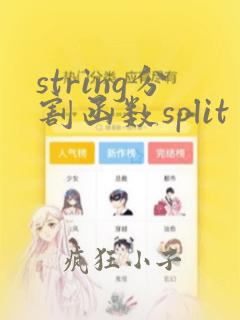 string分割函数split
