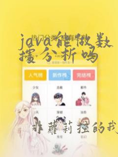 java能做数据分析吗