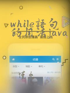 while语句的用法java