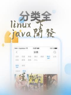 linux 下java开发