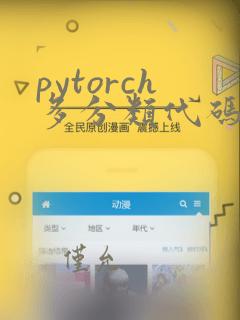 pytorch多分类代码