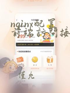 nginx配置前端访问接口
