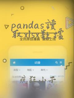 pandas读取xlsx数据
