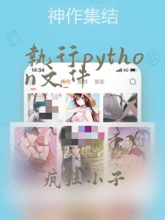 执行python文件
