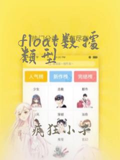 float数据类型