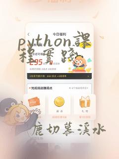 python课程实践