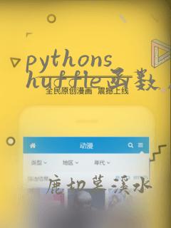 pythonshuffle函数用法