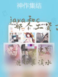 java和c 哪个工资高