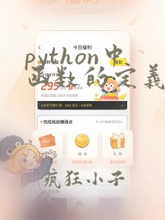 python中函数的定义与调用