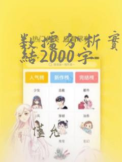 数据分析实习总结2000字