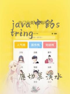 java中的string