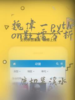 魏伟一python数据分析与可视化