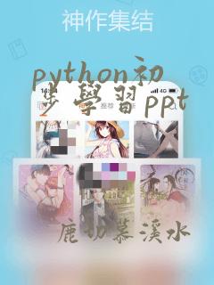 python初步学习ppt