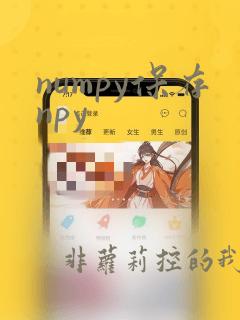 numpy保存npy