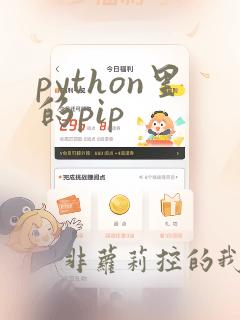 python里的pip