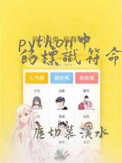 python中的标识符命名规则
