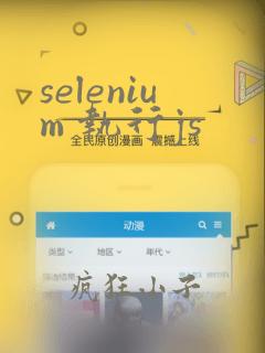 selenium 执行js