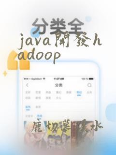 java开发hadoop