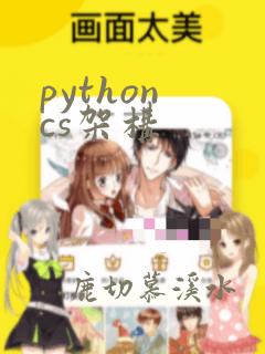 python cs架构