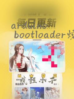 arduino bootloader烧写