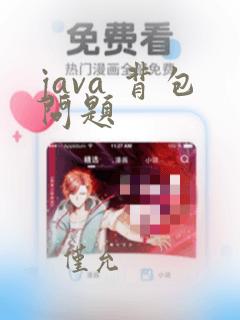 java 背包问题