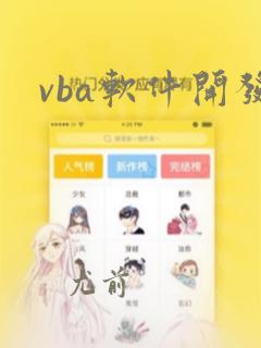 vba软件开发