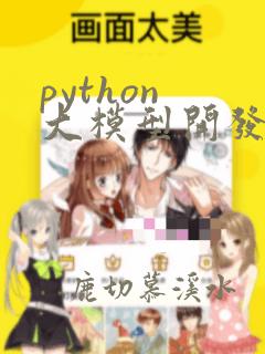 python 大模型开发
