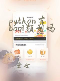 python有bool类型吗