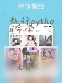 执行python命令