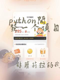 python开发一个项目