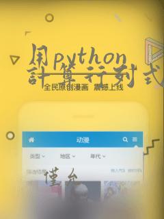 用python计算行列式