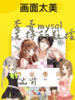 查看mysql支持的数据类型