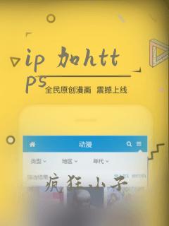 ip 加https