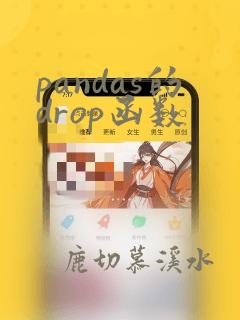 pandas的drop函数