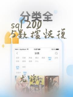 sql 2005数据恢复
