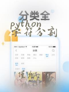 python 字符分割