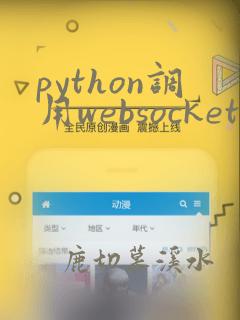 python调用websocket接口