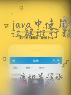 java中使用注解进行类型转换