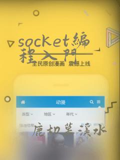 socket编程入门