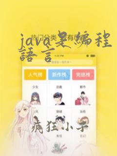 java是编程语言