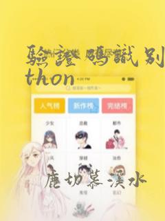 验证码识别python