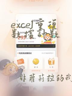 excel重复数据计数