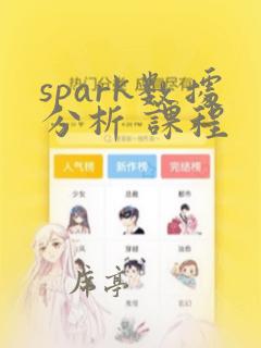 spark数据分析 课程