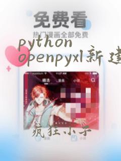 python openpyxl新建excel