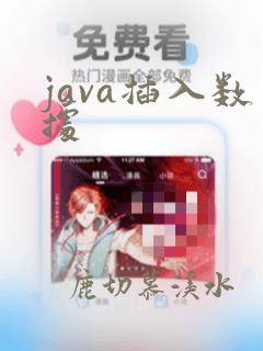 java插入数据