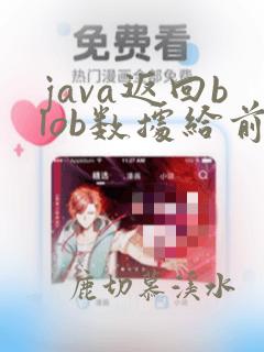 java返回blob数据给前台